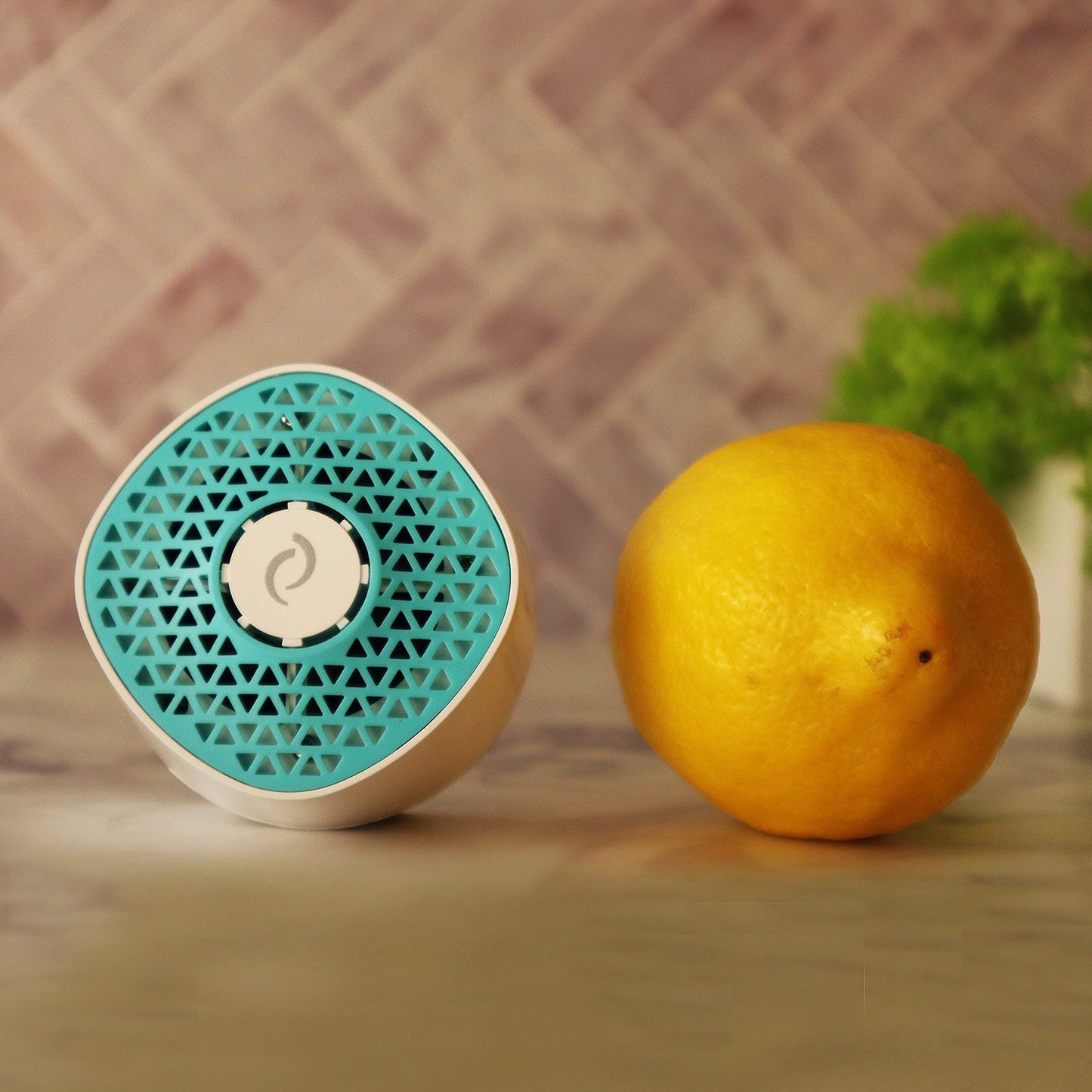 Ventifresh UVC Plus Eco Odor Eliminator